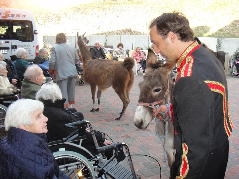 Eine Gruppe älterer Menschen sitzt in Rollstühlen, während ein Mann in einer eleganten Uniform mit einem Esel spricht. Im Hintergrund steht ein Lama. Die Szene wirkt freundlich und unterhaltsam, mit Interaktion zwischen dem Mann und den Senioren.