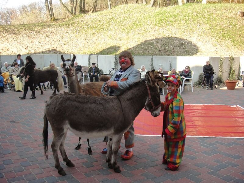 Ein Clown und ein Kind in bunter Kleidung stehen neben einem Esel. Im Hintergrund sind weitere Esel und Lamas sowie Menschen in Sesseln zu sehen. Die Szene wirkt fröhlich und lädt zur Interaktion ein.